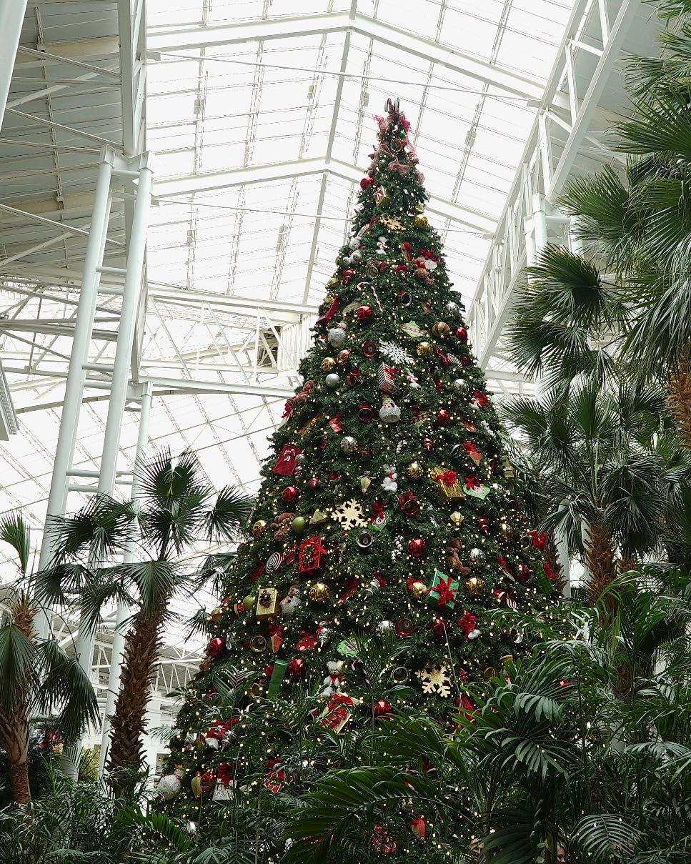 Celebrating So Much Christmas at Gaylord Opryland –  www.charlieandcrewlife.com, image size:967x1209