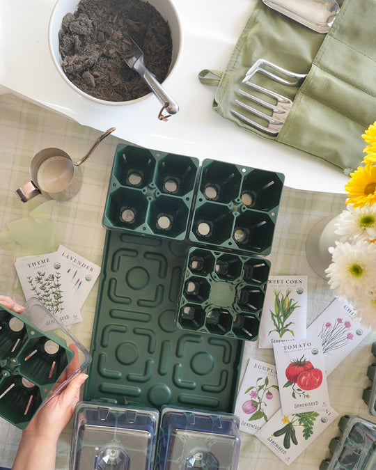 Indoor seed starting with Vego Garden